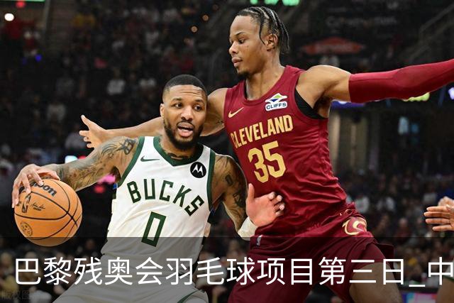 巴黎残奥会羽毛球项目第三日 中国队取得13胜3负